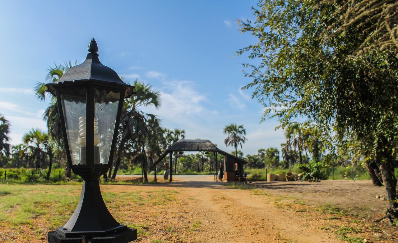 Paridiseos Resort Barra Do Dande Zewnętrze zdjęcie