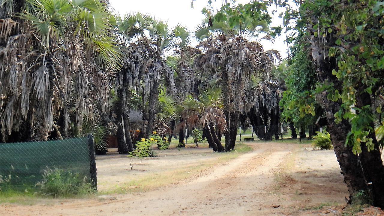 Paridiseos Resort Barra Do Dande Zewnętrze zdjęcie